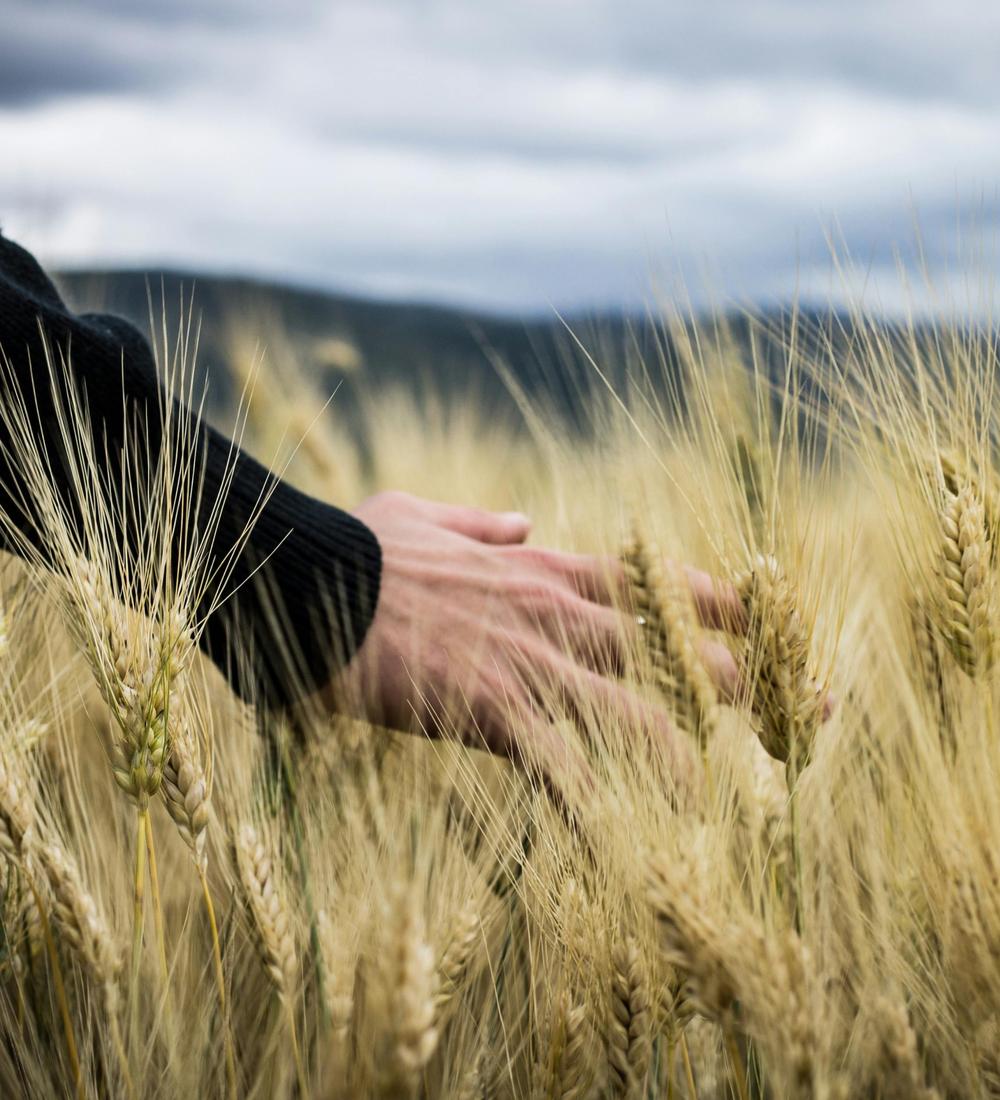 Background for 128 (8 May)