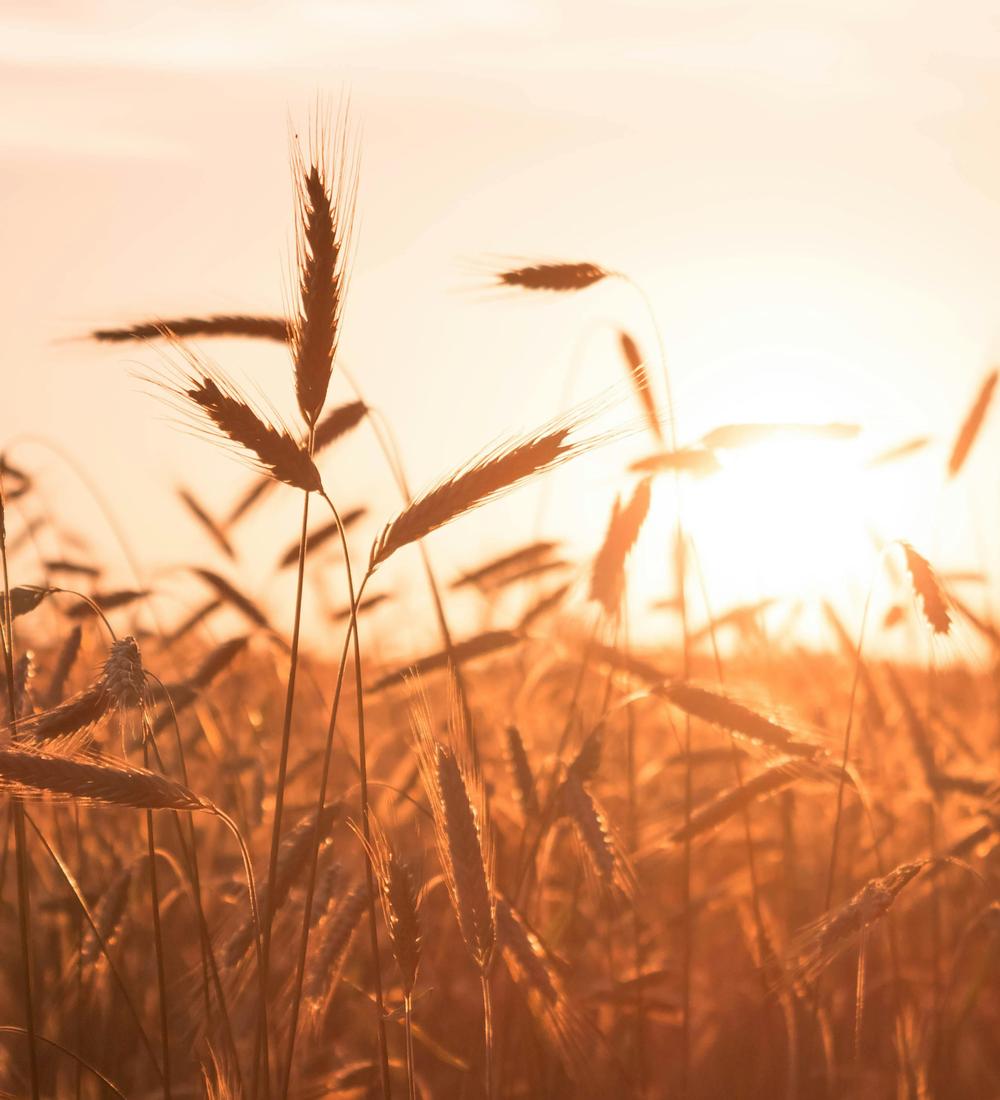 Background for 133 (13 May)