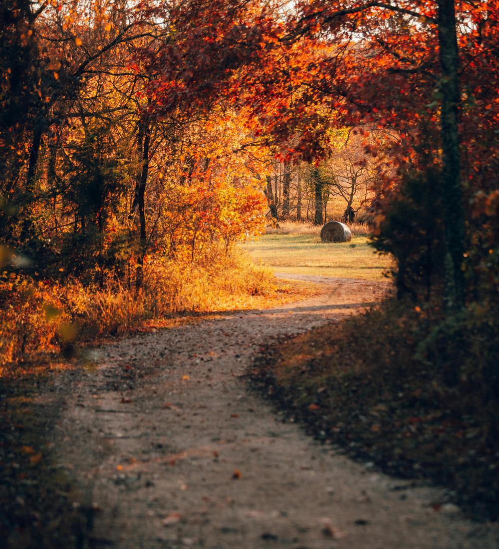 Background for 145 (25 May)