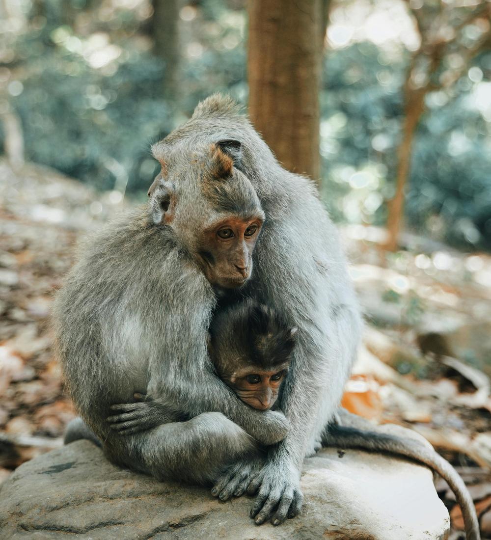 Background for 170 (19 June)