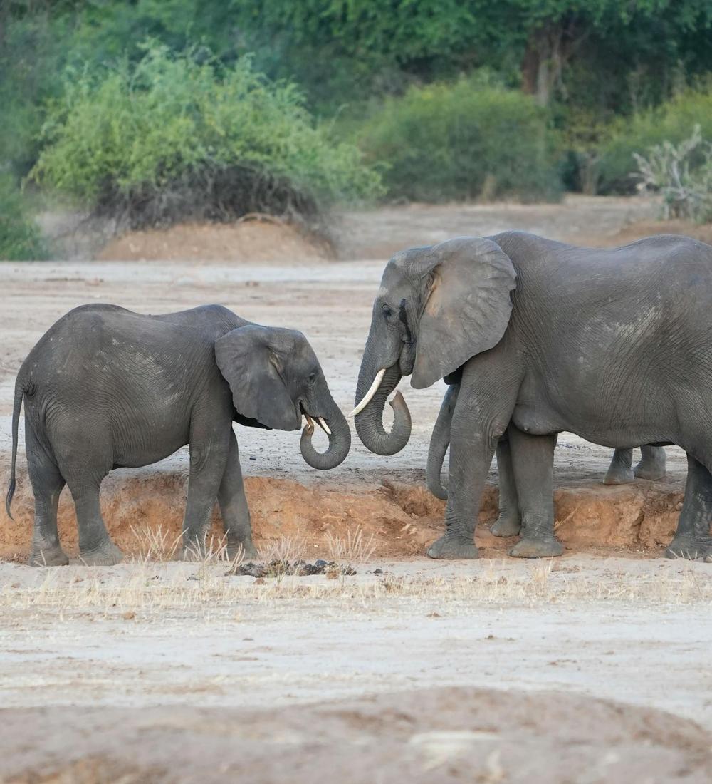 Background for 171 (20 June)