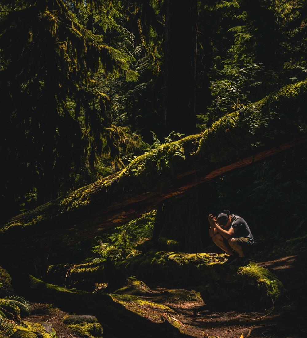 Background for 176 (25 June)