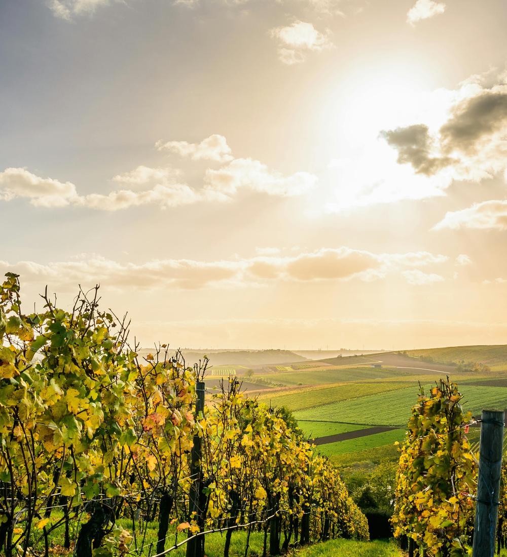 Background for 181 (30 June)