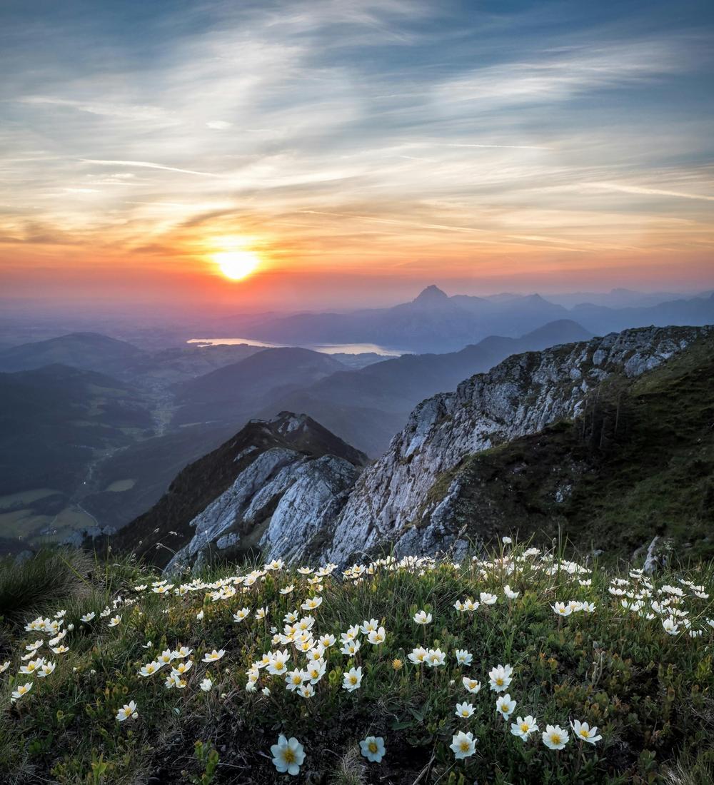 Background for 182 (1 July)