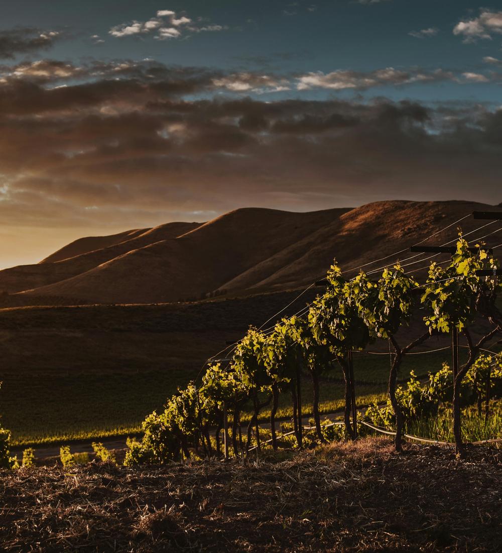 Background for 188 (7 July)