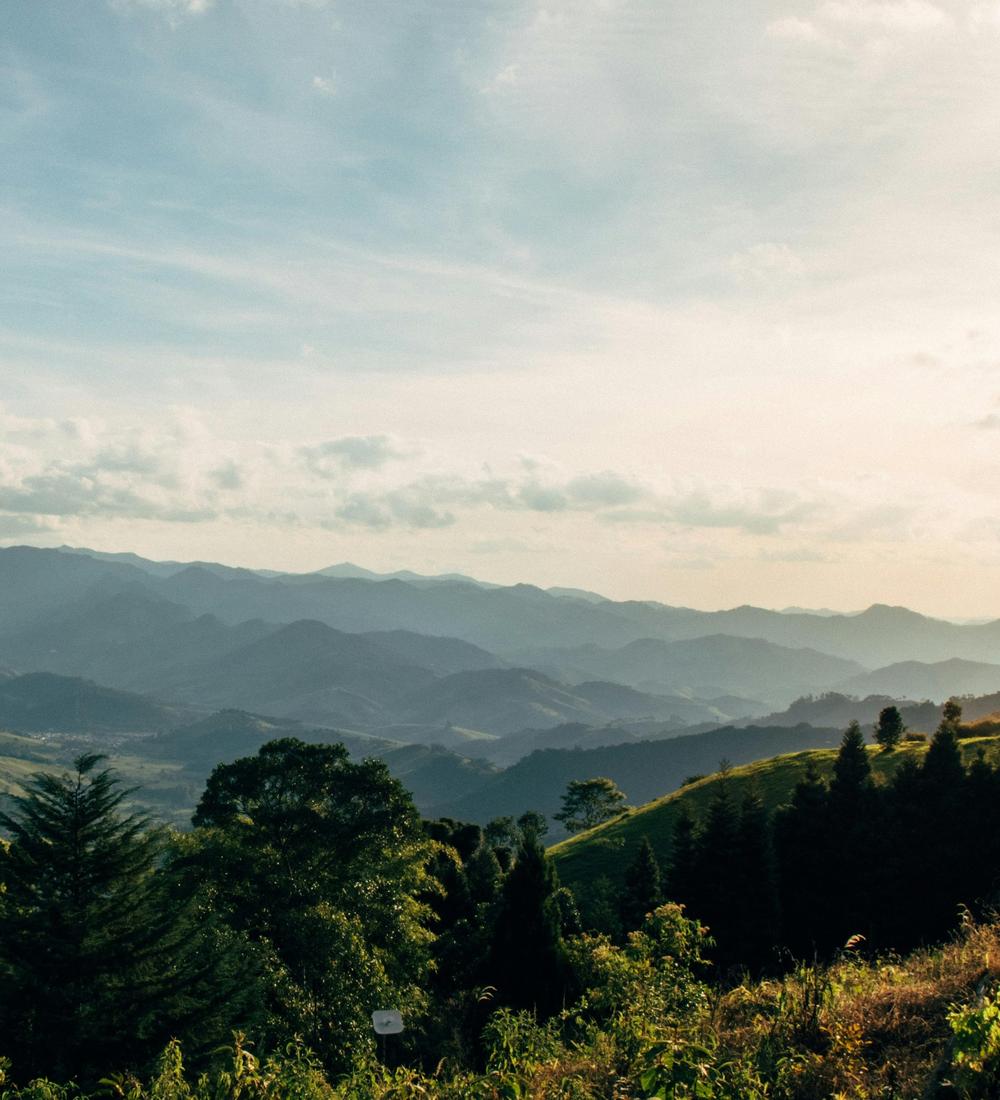 Background for 212 (31 July)