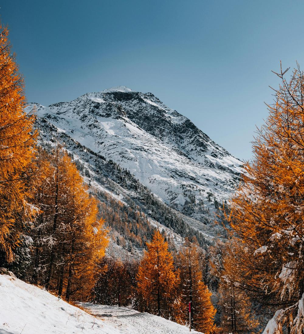 Background for 218 (6 August)