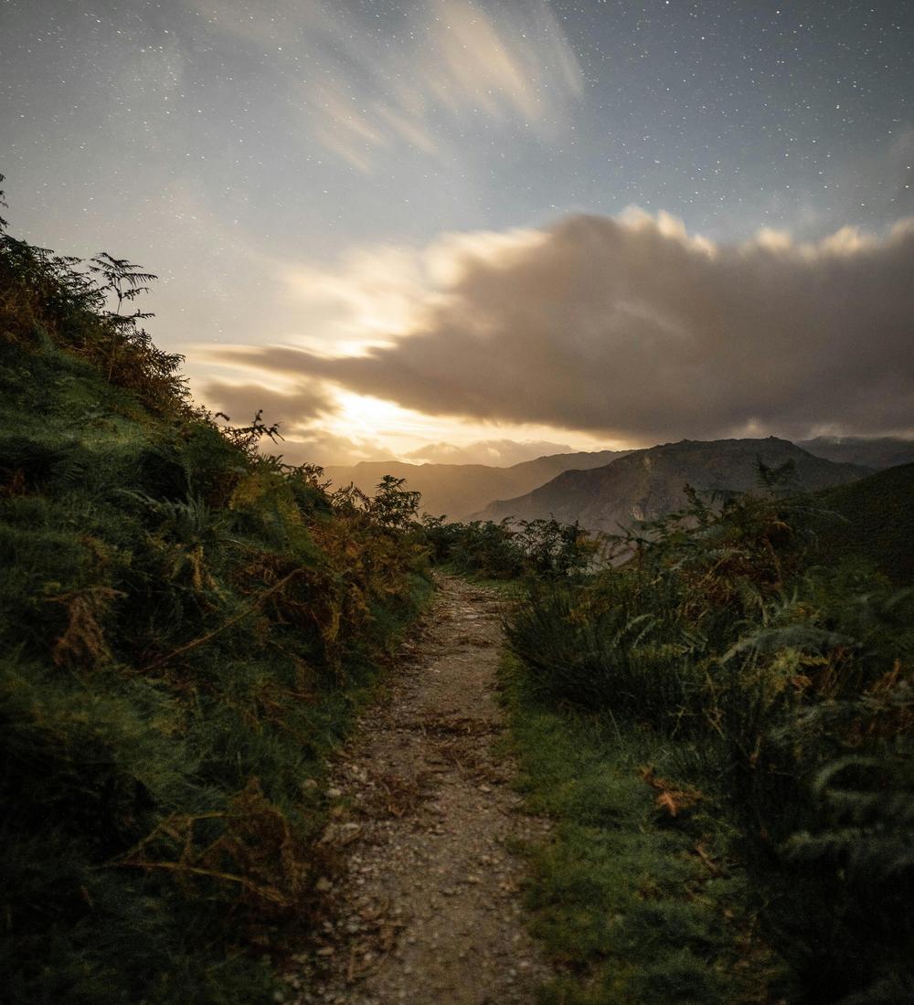 Background for 219 (7 August)