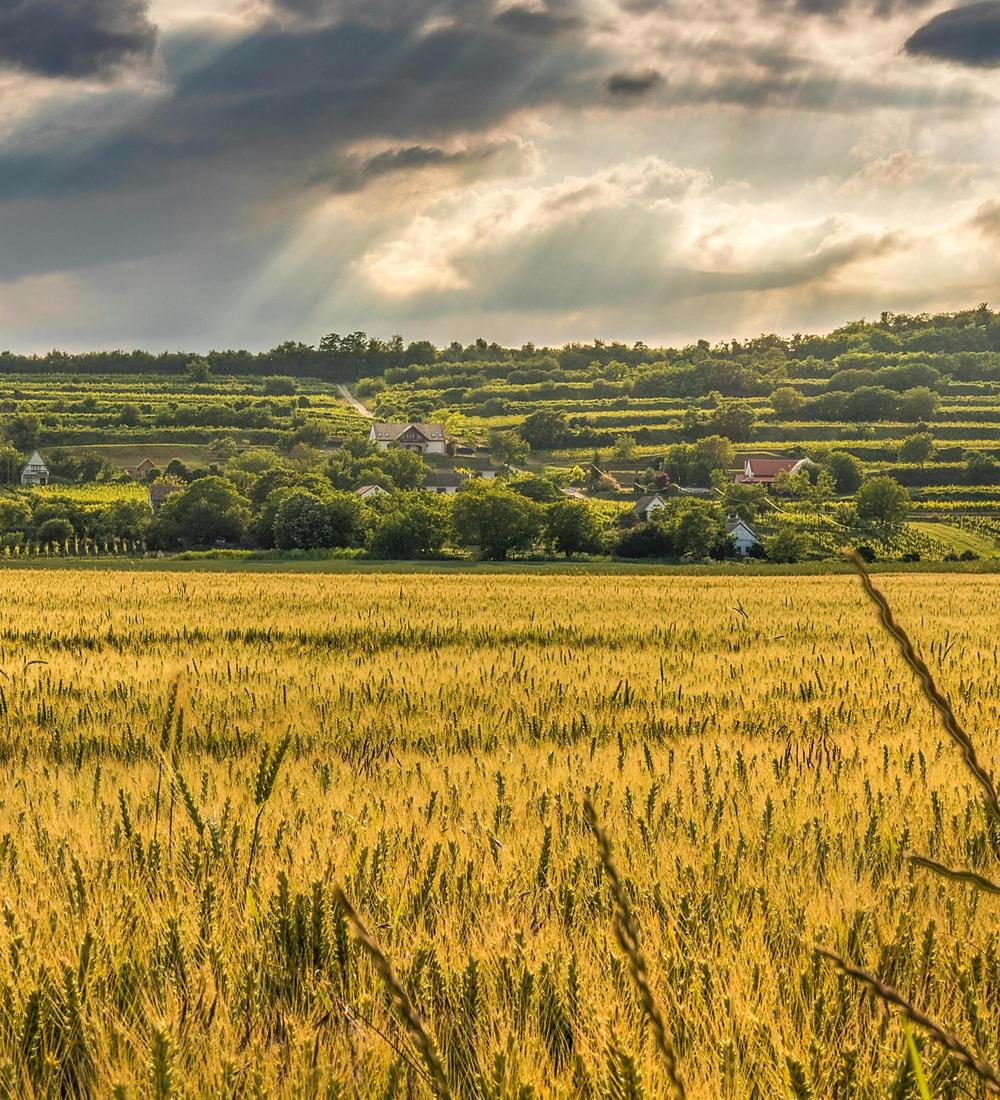 Background for 227 (15 August)