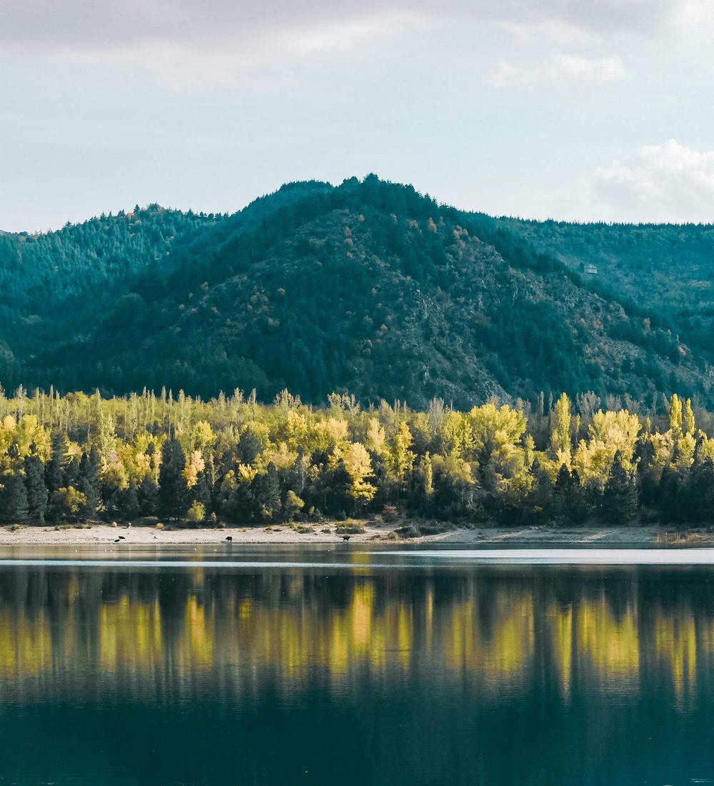 Background for 229 (17 August)