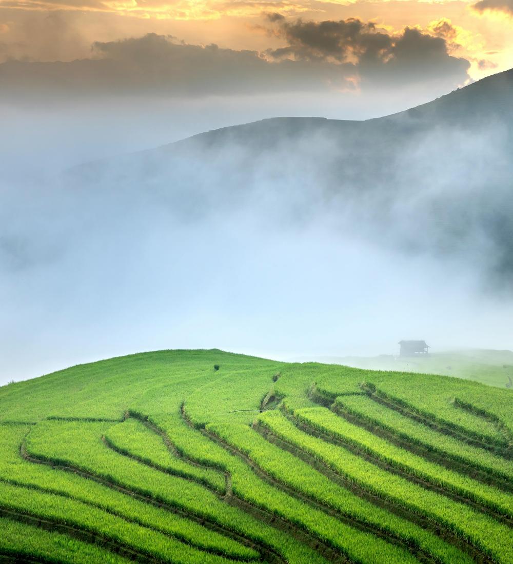 Background for 233 (21 August)