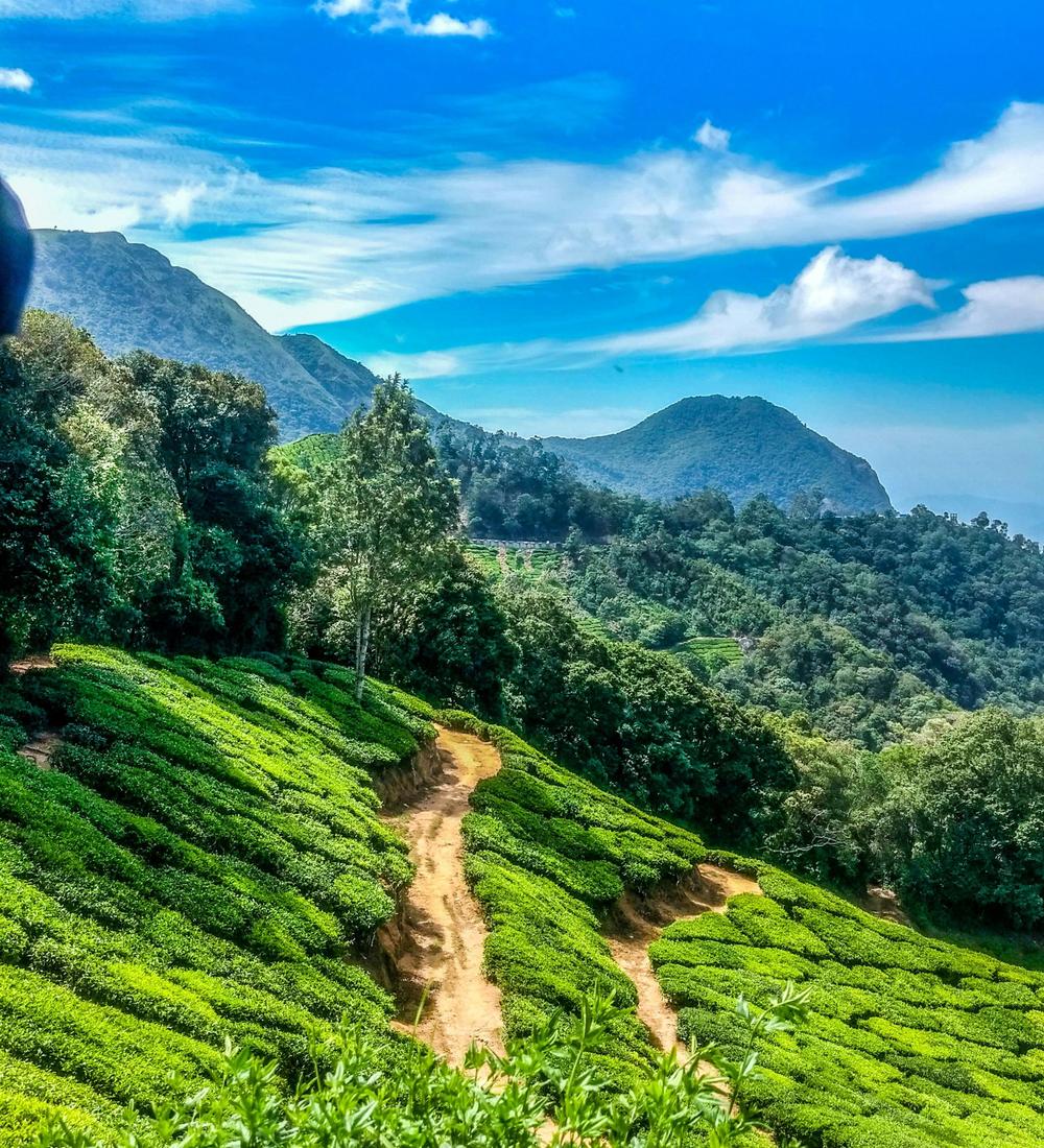 Background for 249 (6 September)