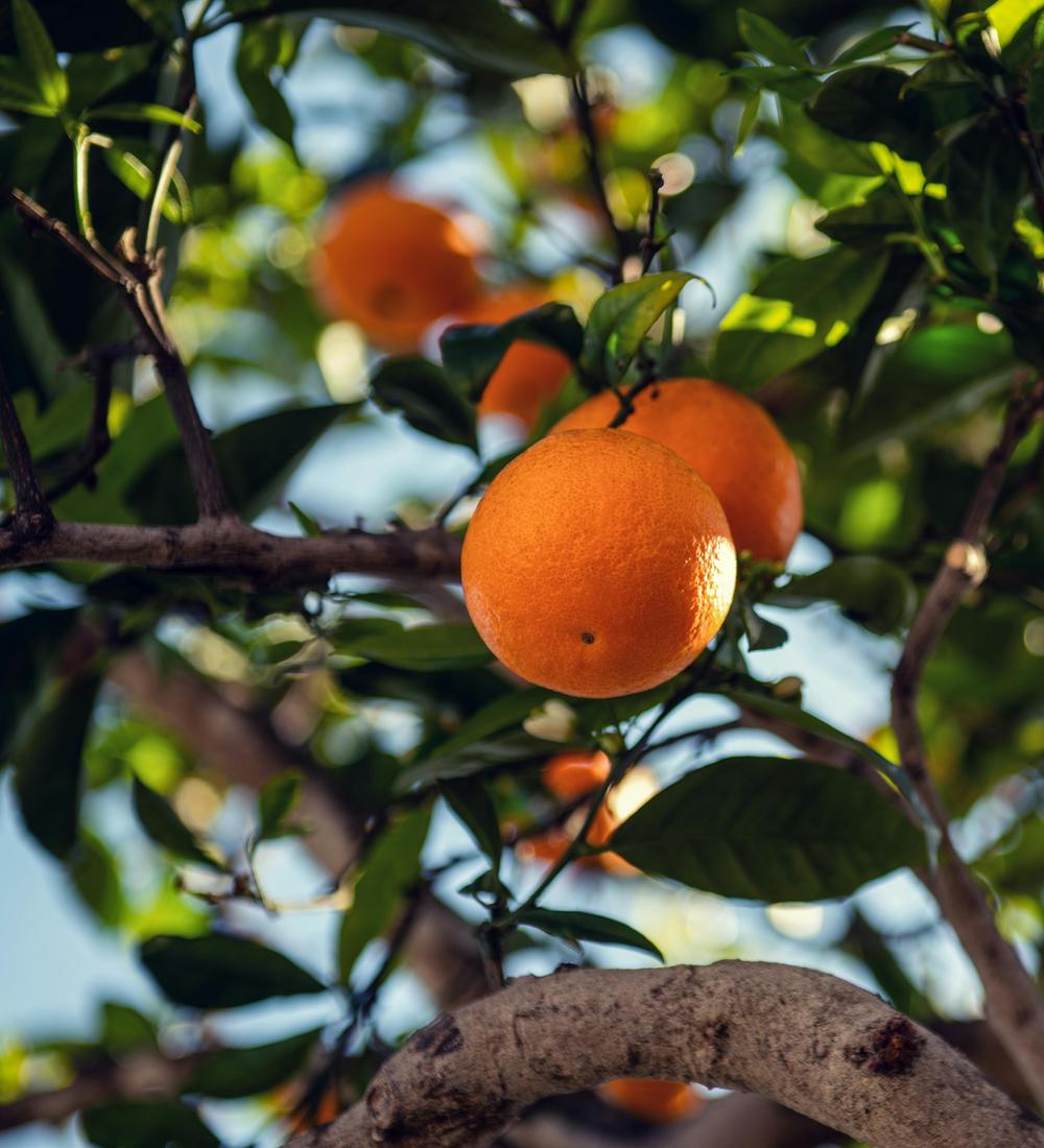 Background for 251 (8 September)