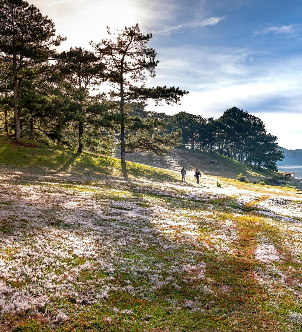 Background for 253 (10 September)