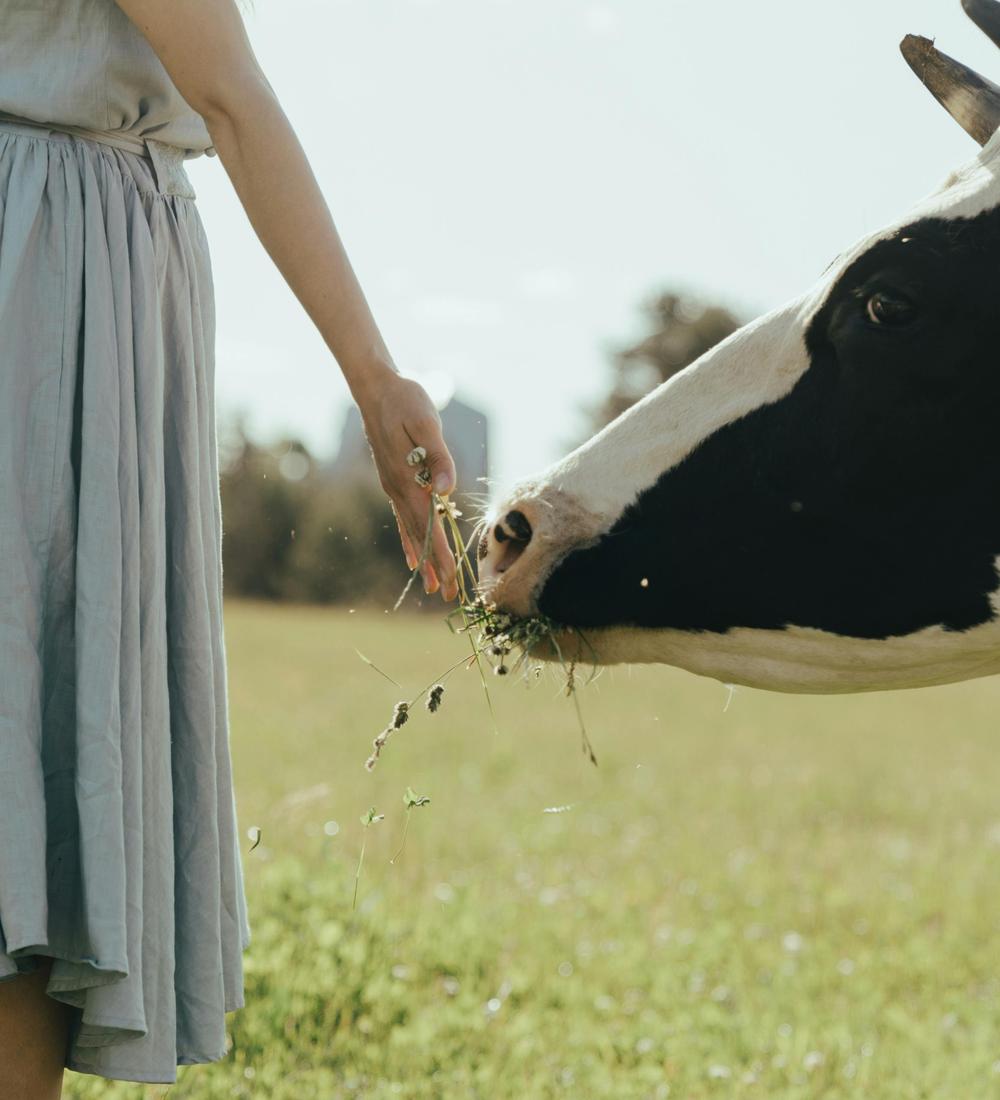 Background for 257 (14 September)