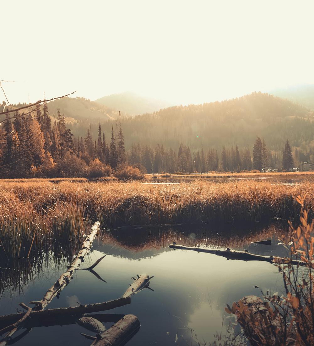 Background for 260 (17 September)