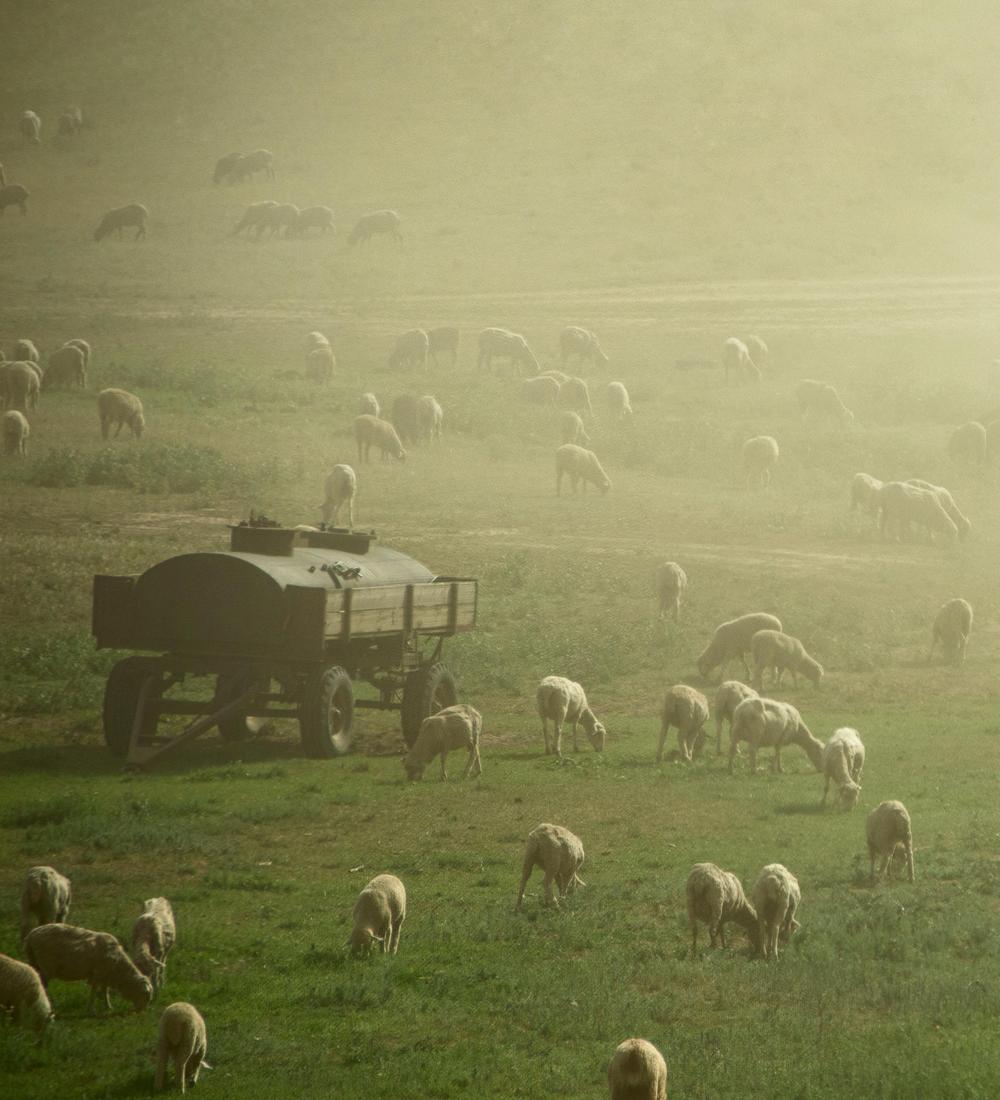 Background for 261 (18 September)