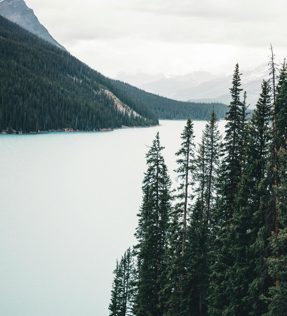 Background for 267 (24 September)