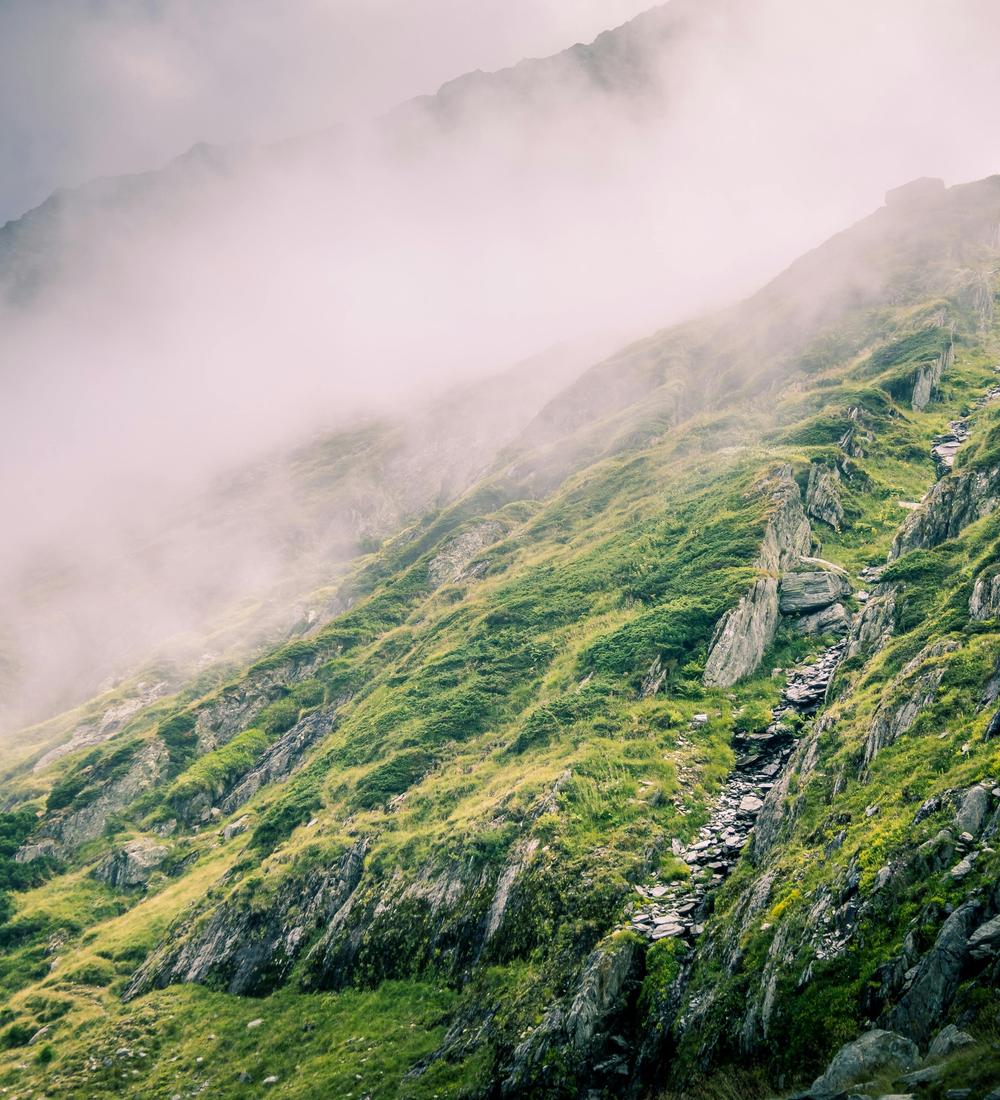 Background for 268 (25 September)