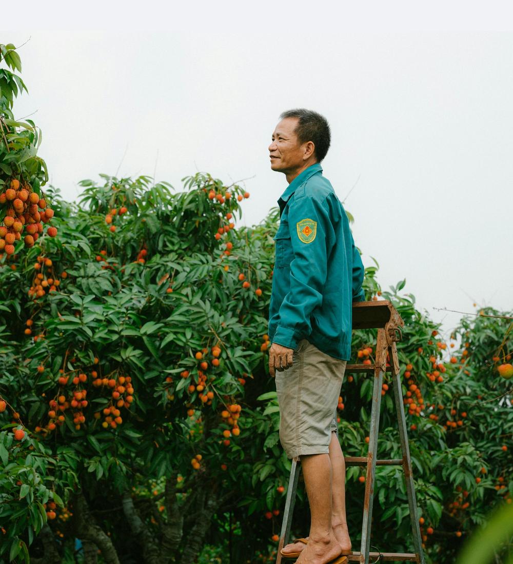 Background for 269 (26 September)