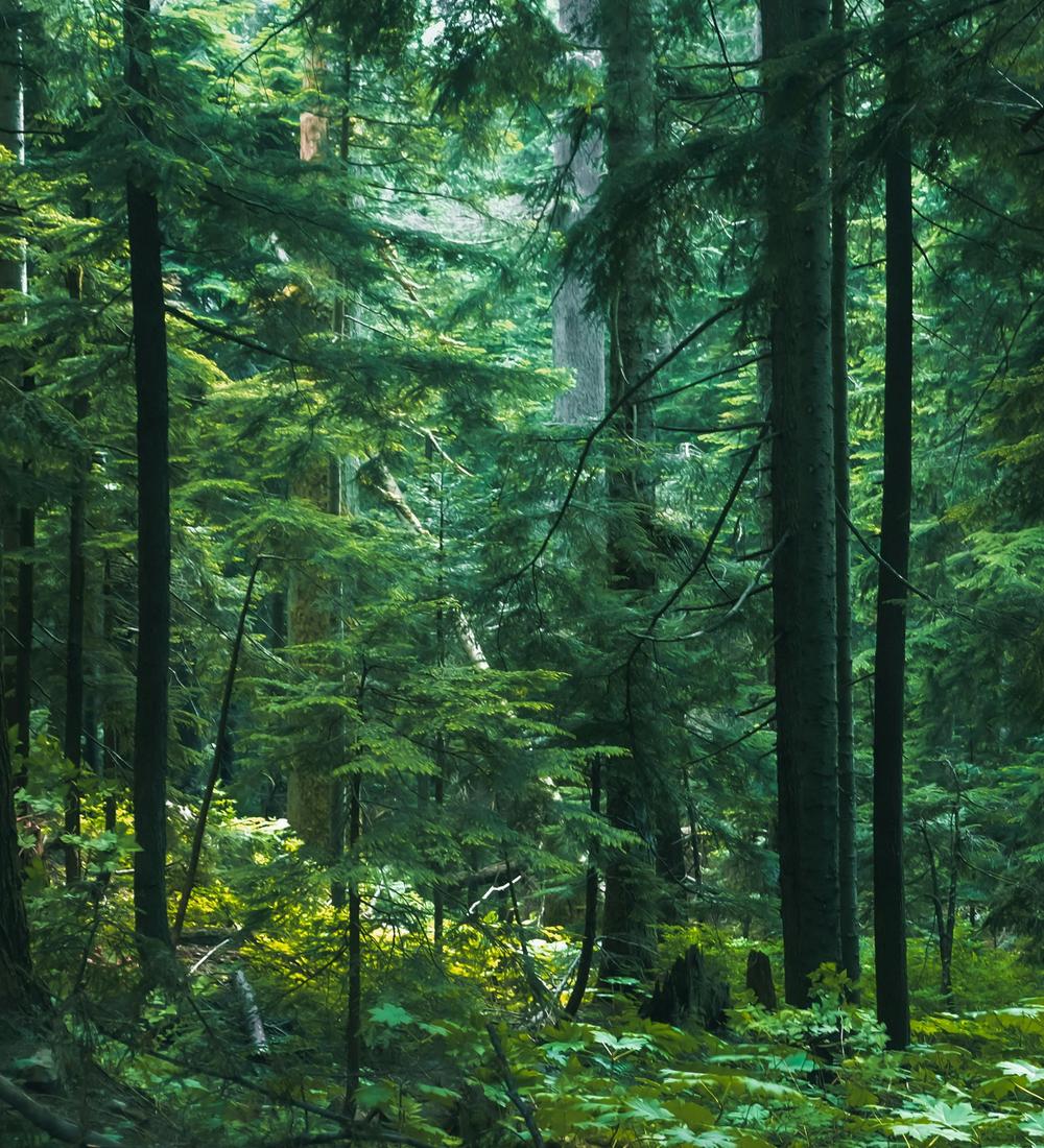 Background for 270 (27 September)