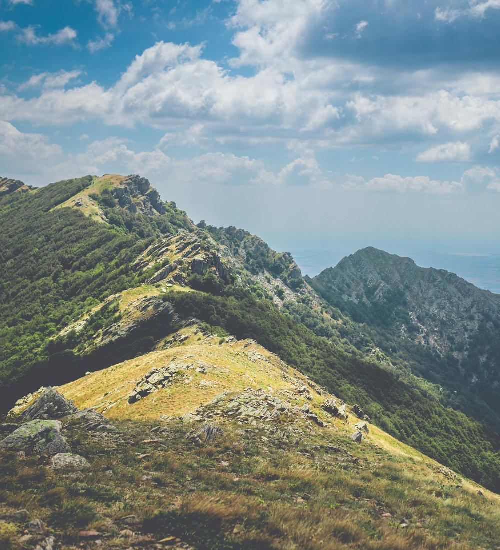 Background for 291 (18 October)