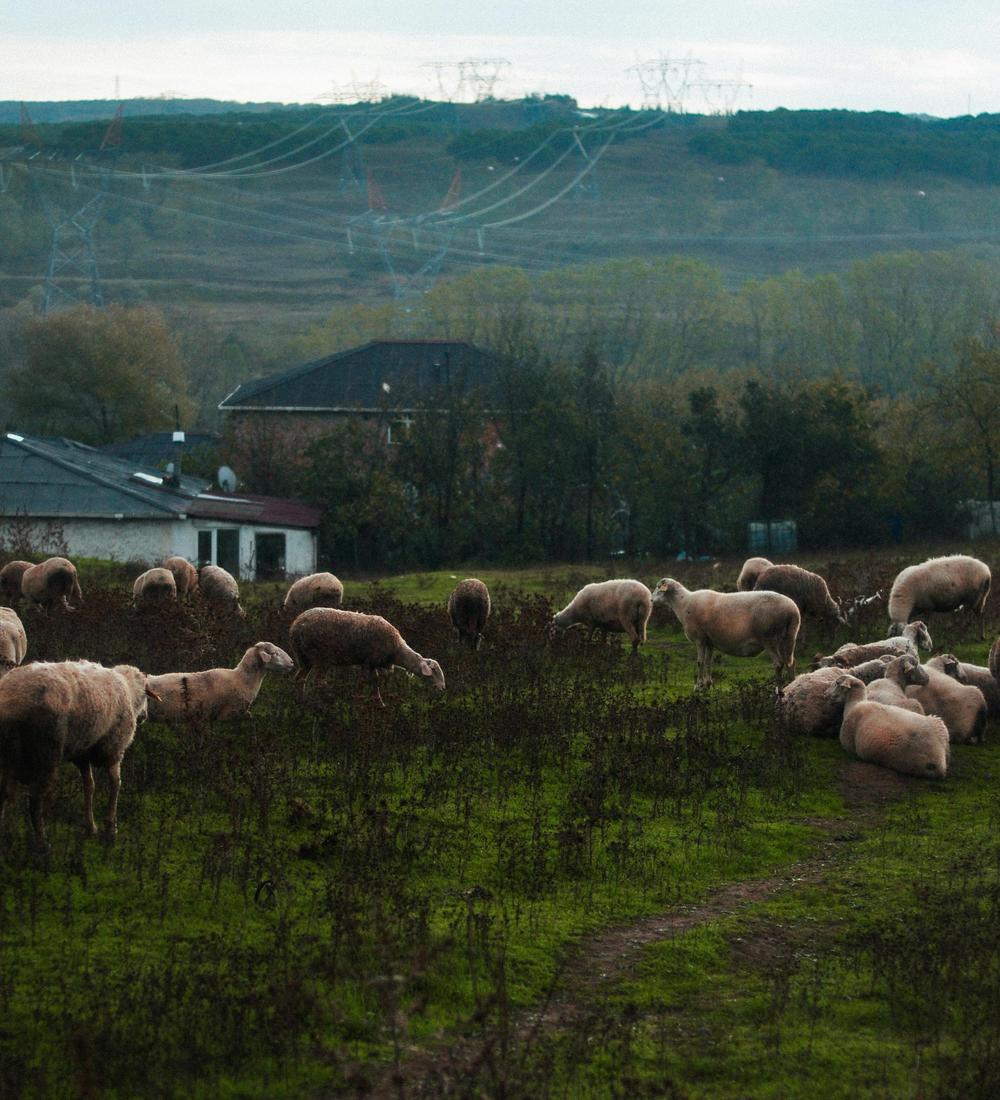 Background for 297 (24 October)