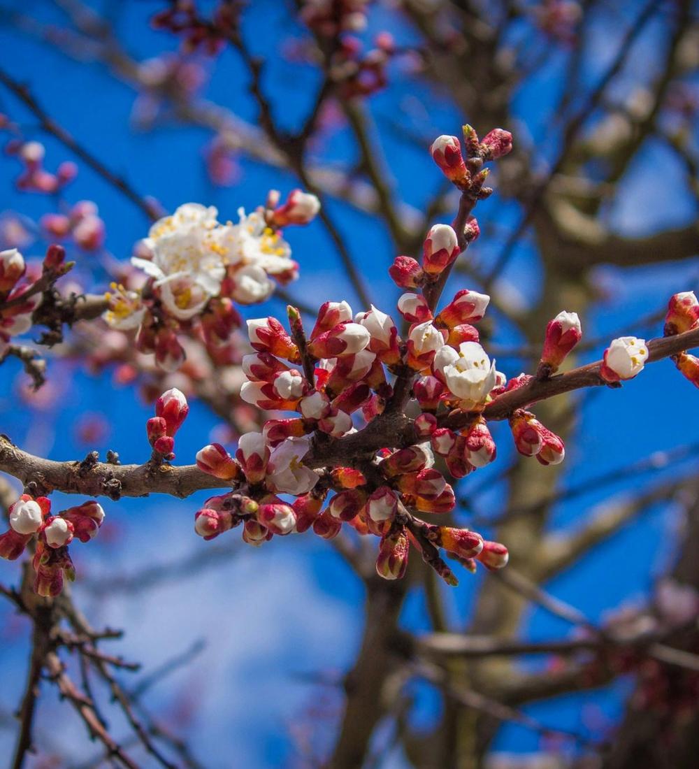 Background for 300 (27 October)