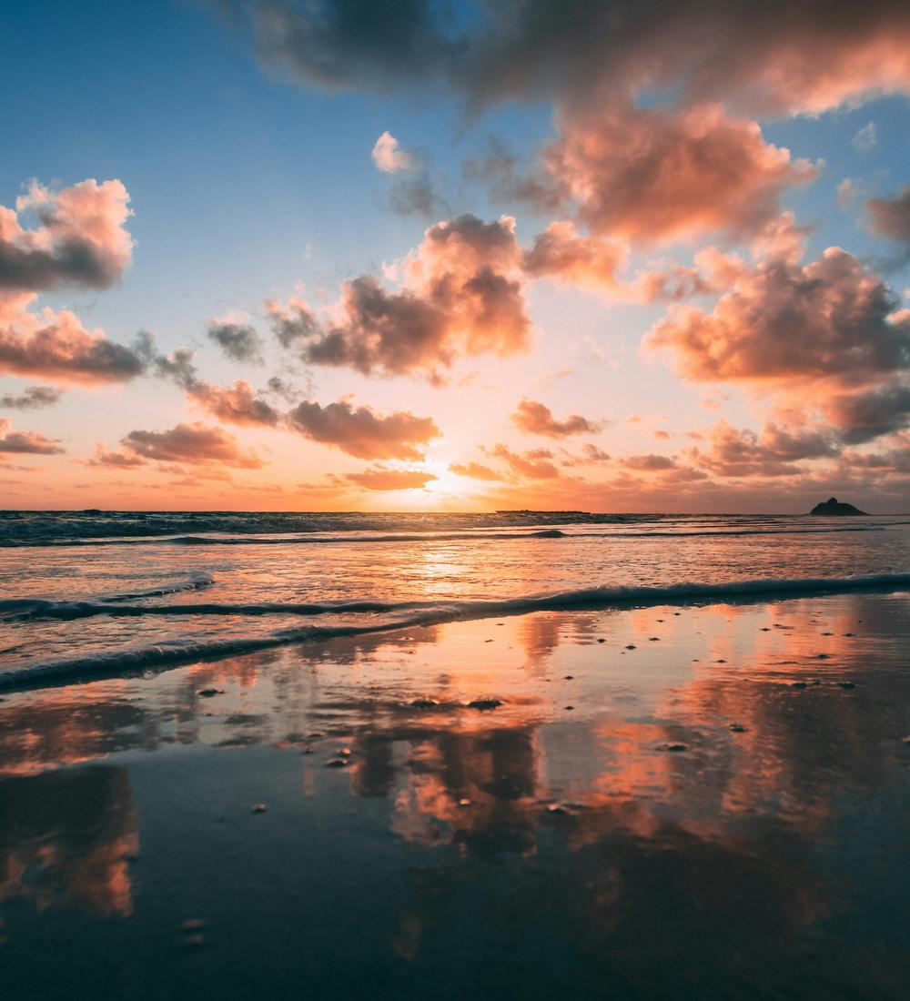 Background for 305 (1 November)