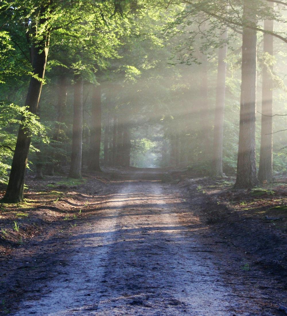 Background for 309 (5 November)