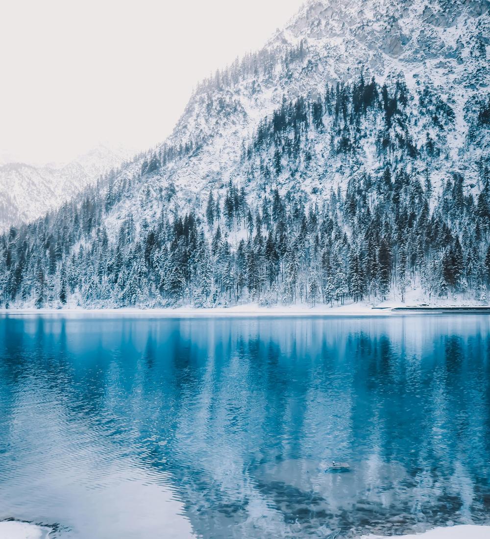 Background for 315 (11 November)