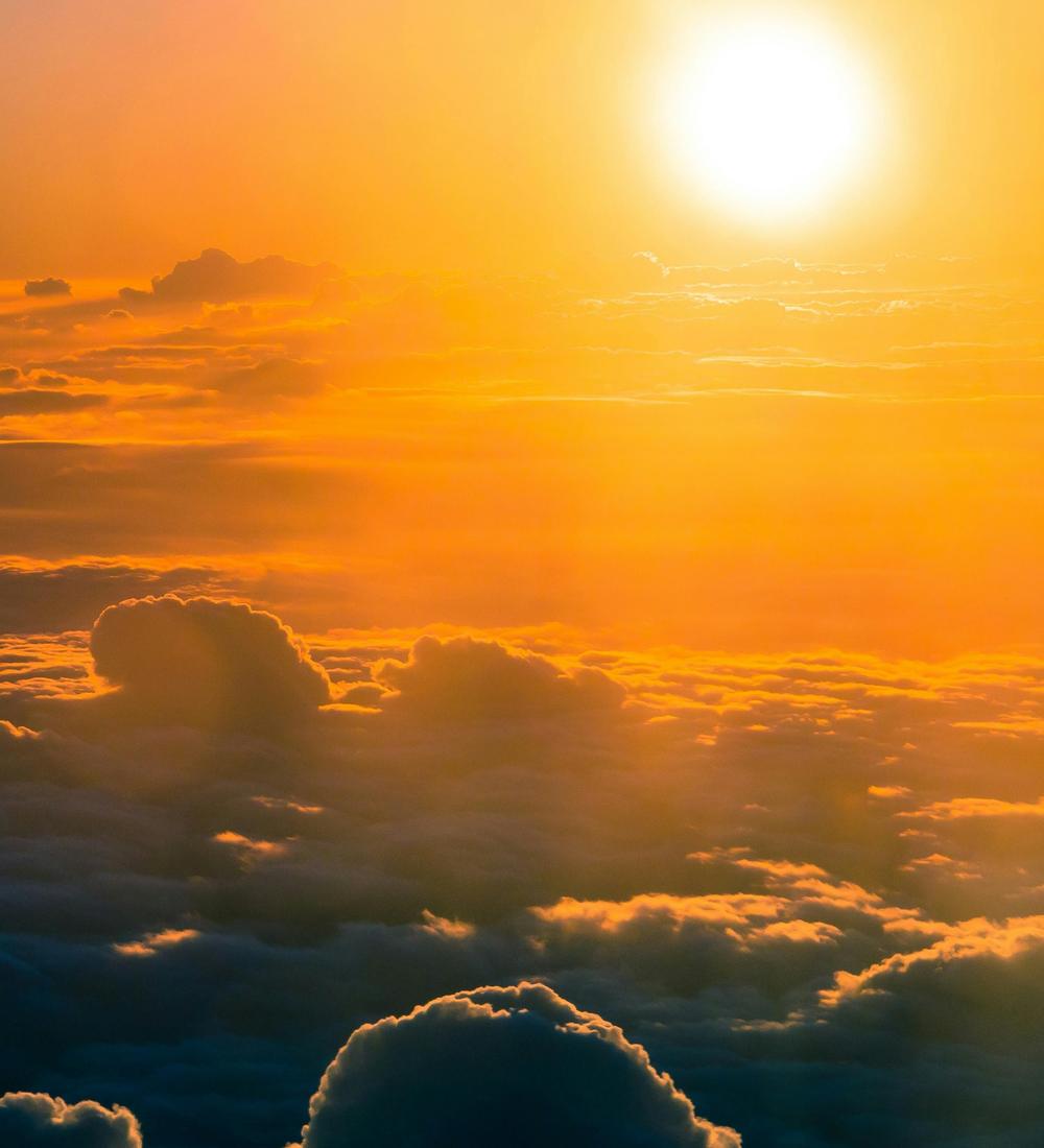 Background for 317 (13 November)