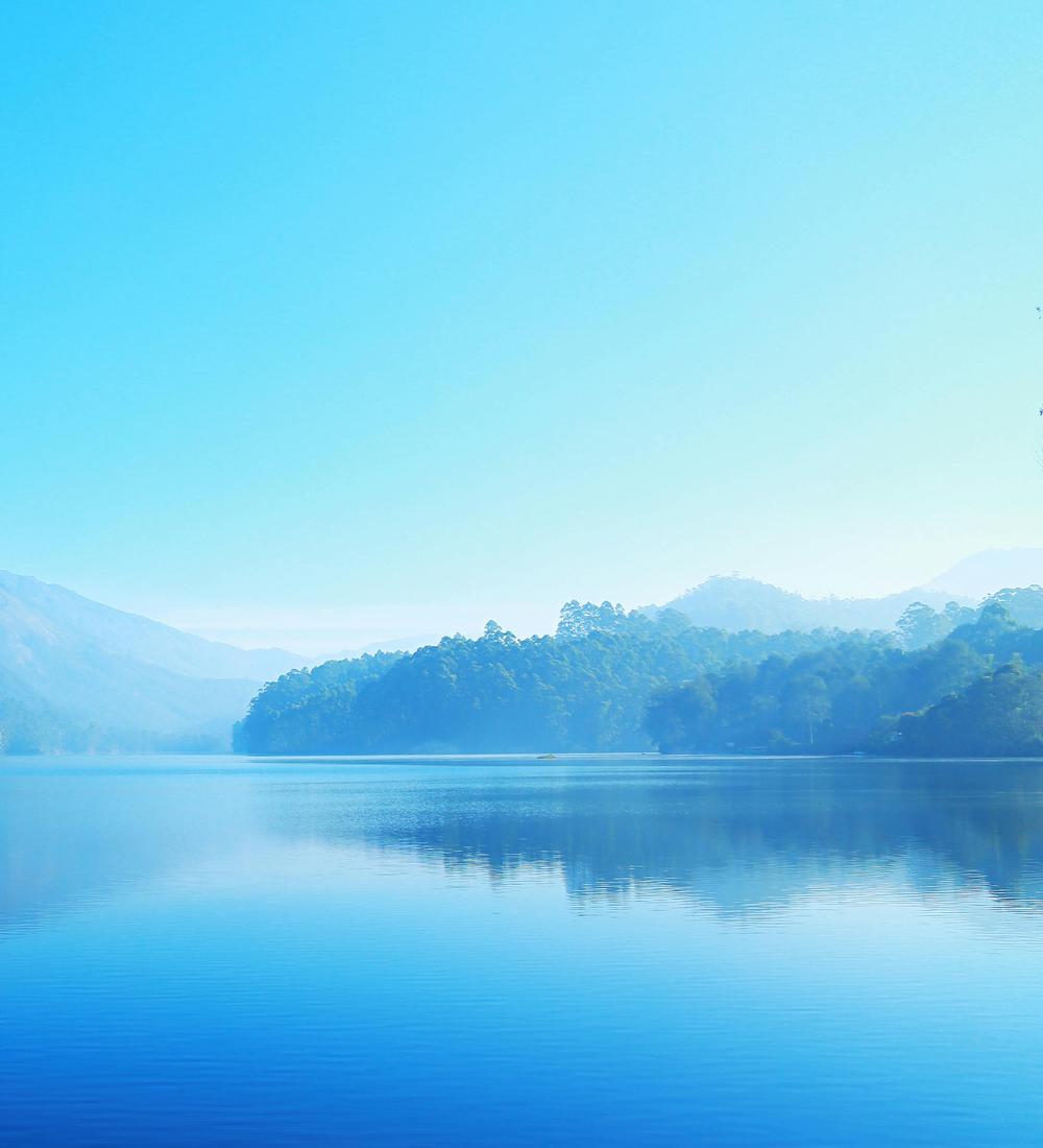 Background for 318 (14 November)