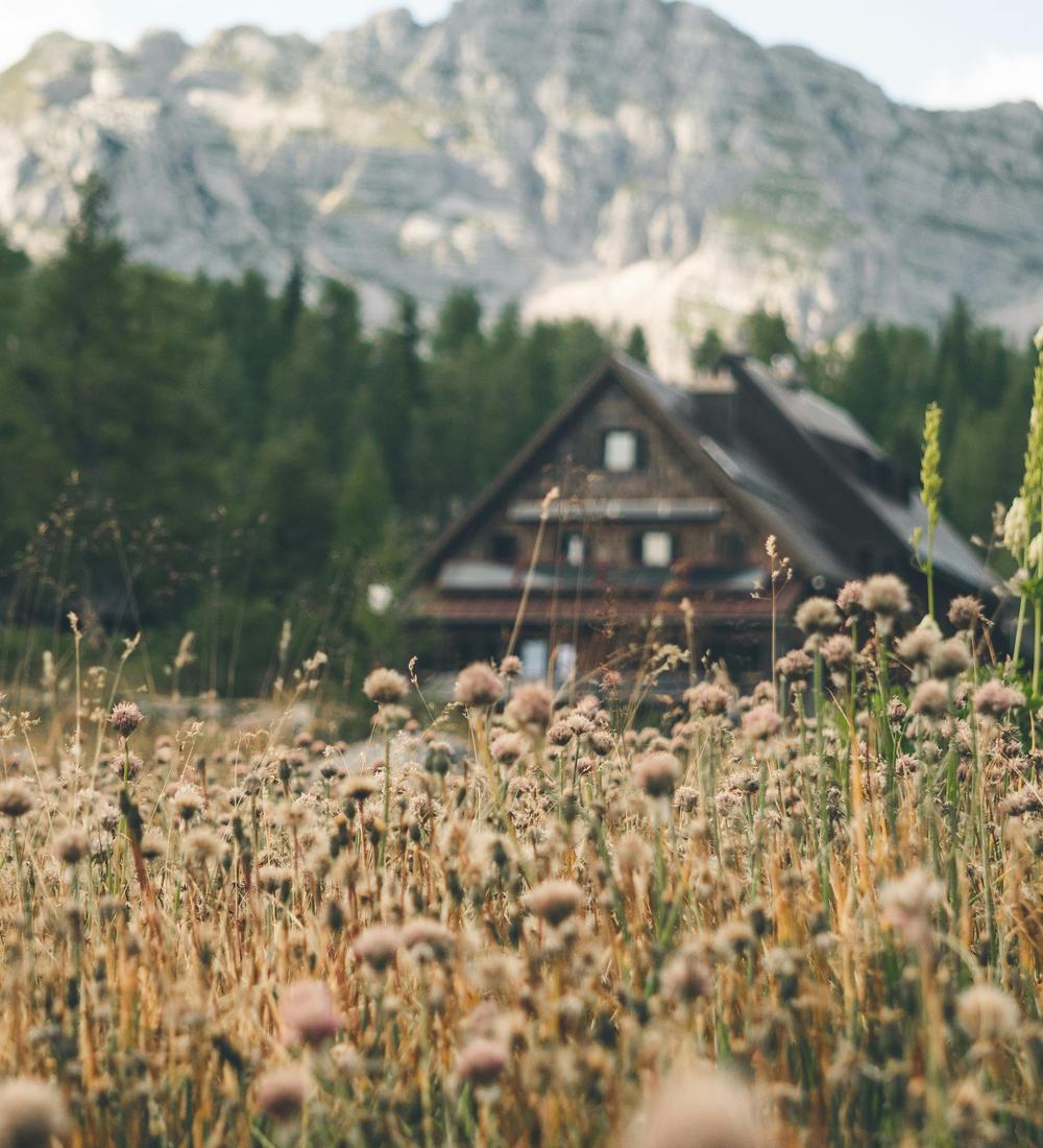 Background for 321 (17 November)