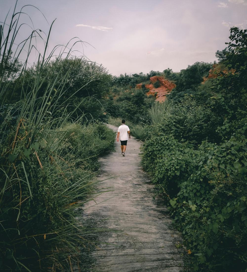 Background for 334 (30 November)