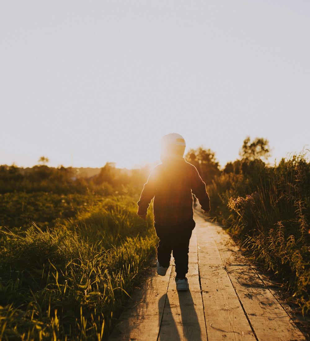 Background for 337 (3 December)