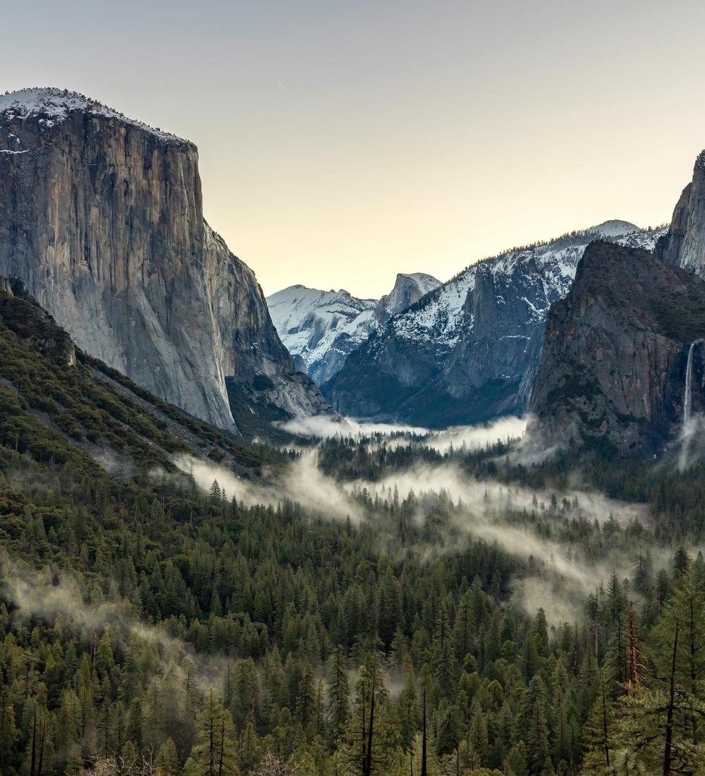 Background for 342 (8 December)