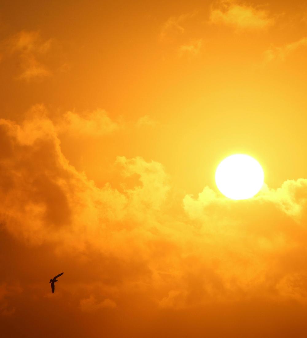 Background for 345 (11 December)