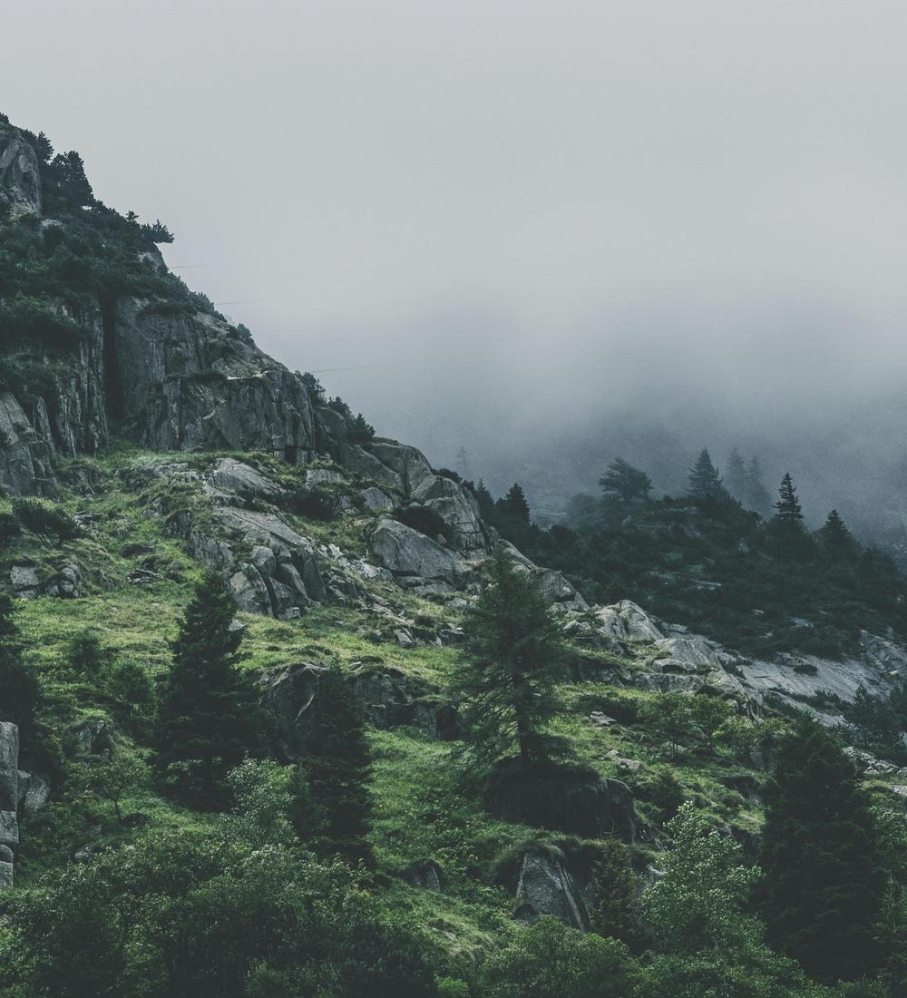 Background for 346 (12 December)