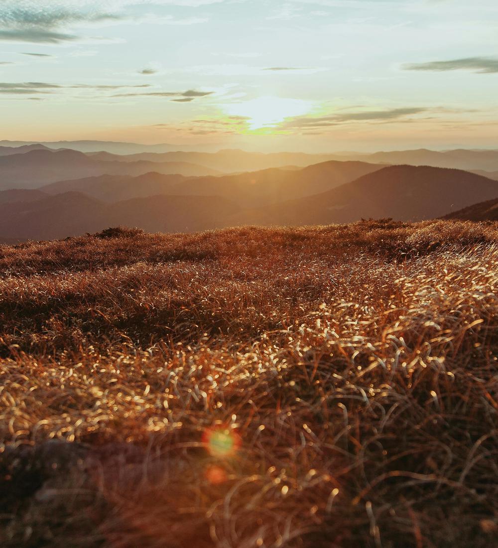 Background for 350 (16 December)