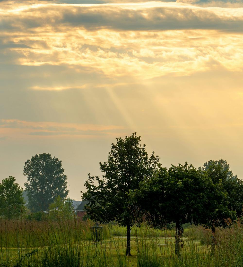 Background for 353 (19 December)