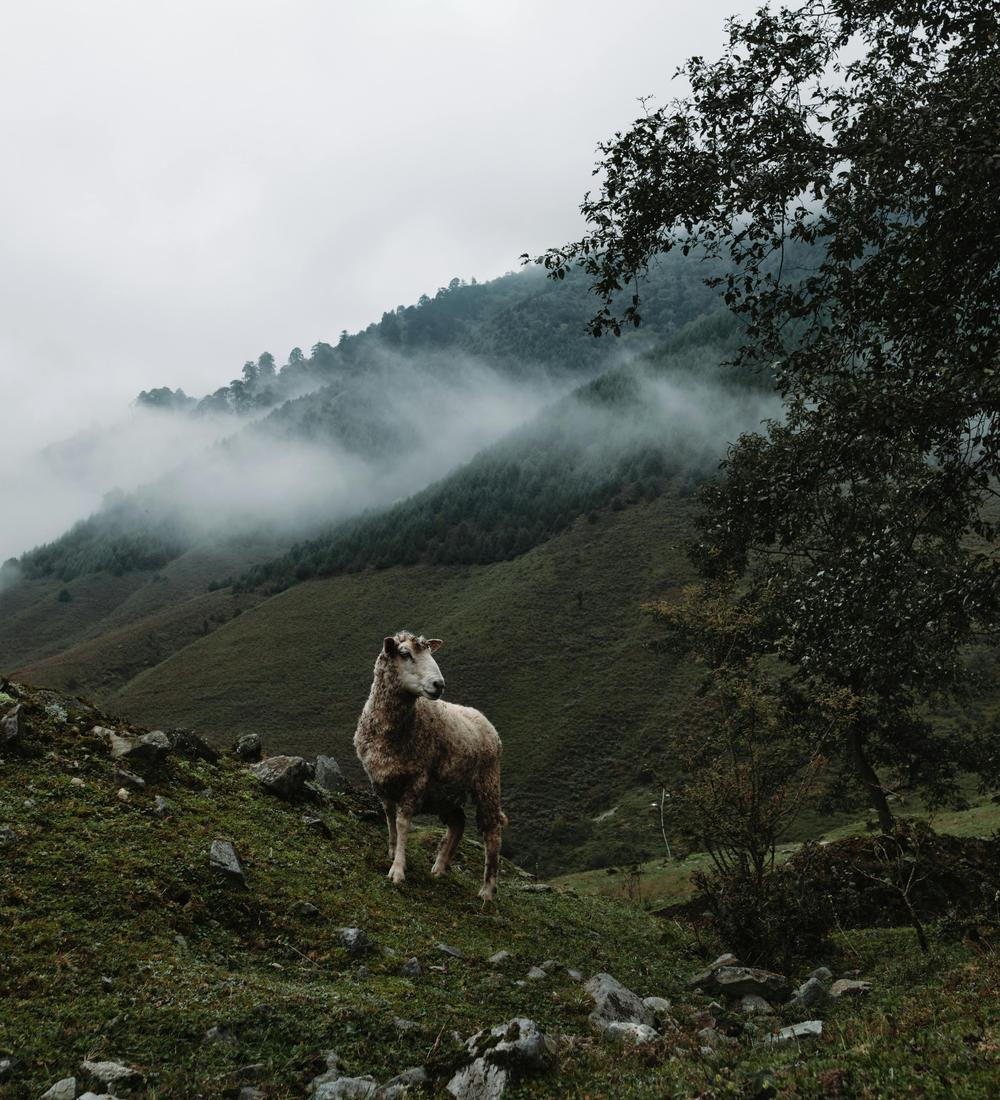 Background for 354 (20 December)