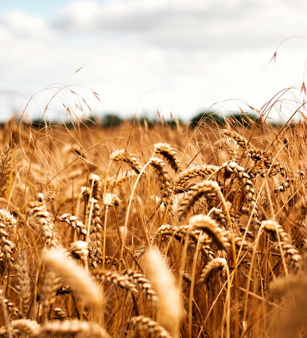 Background for 358 (24 December)