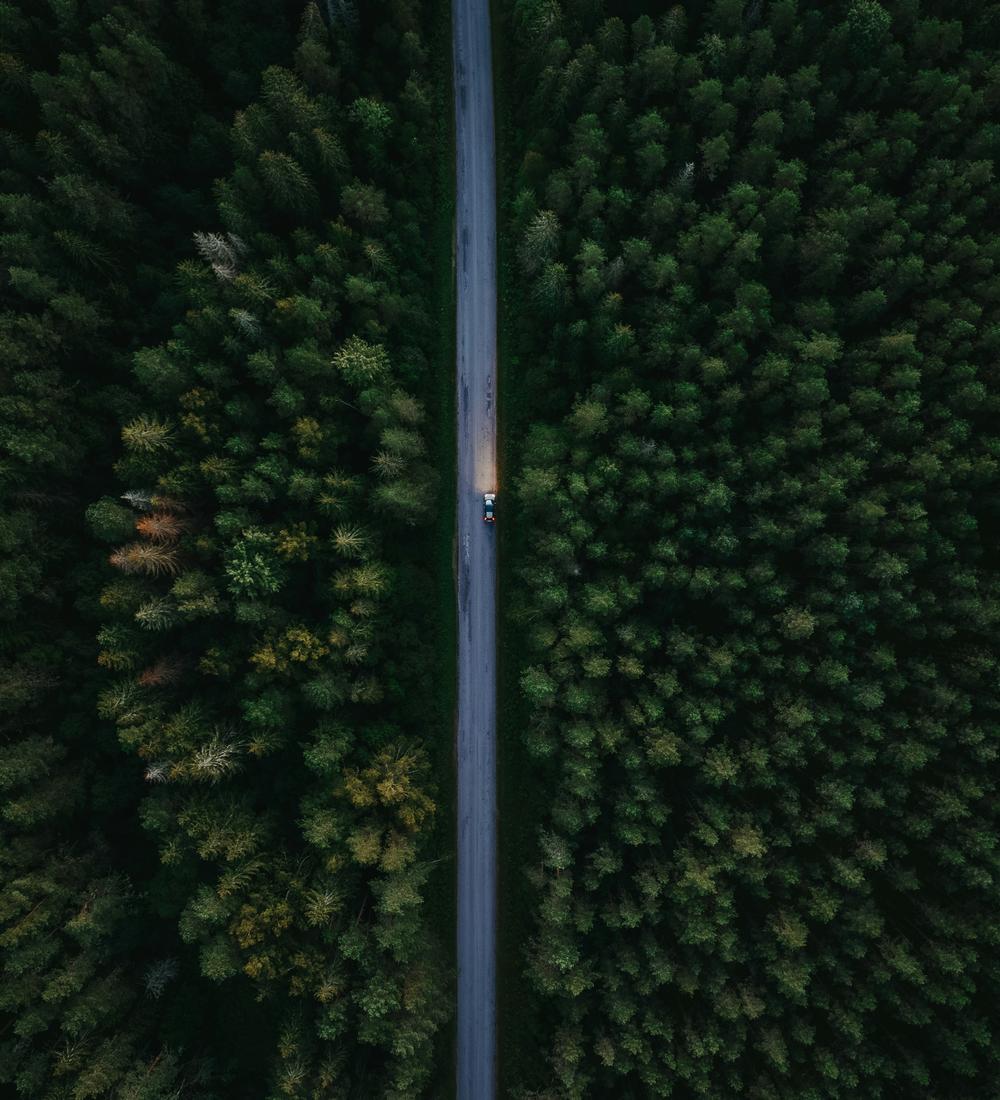 Background for Whatever He Tells You…