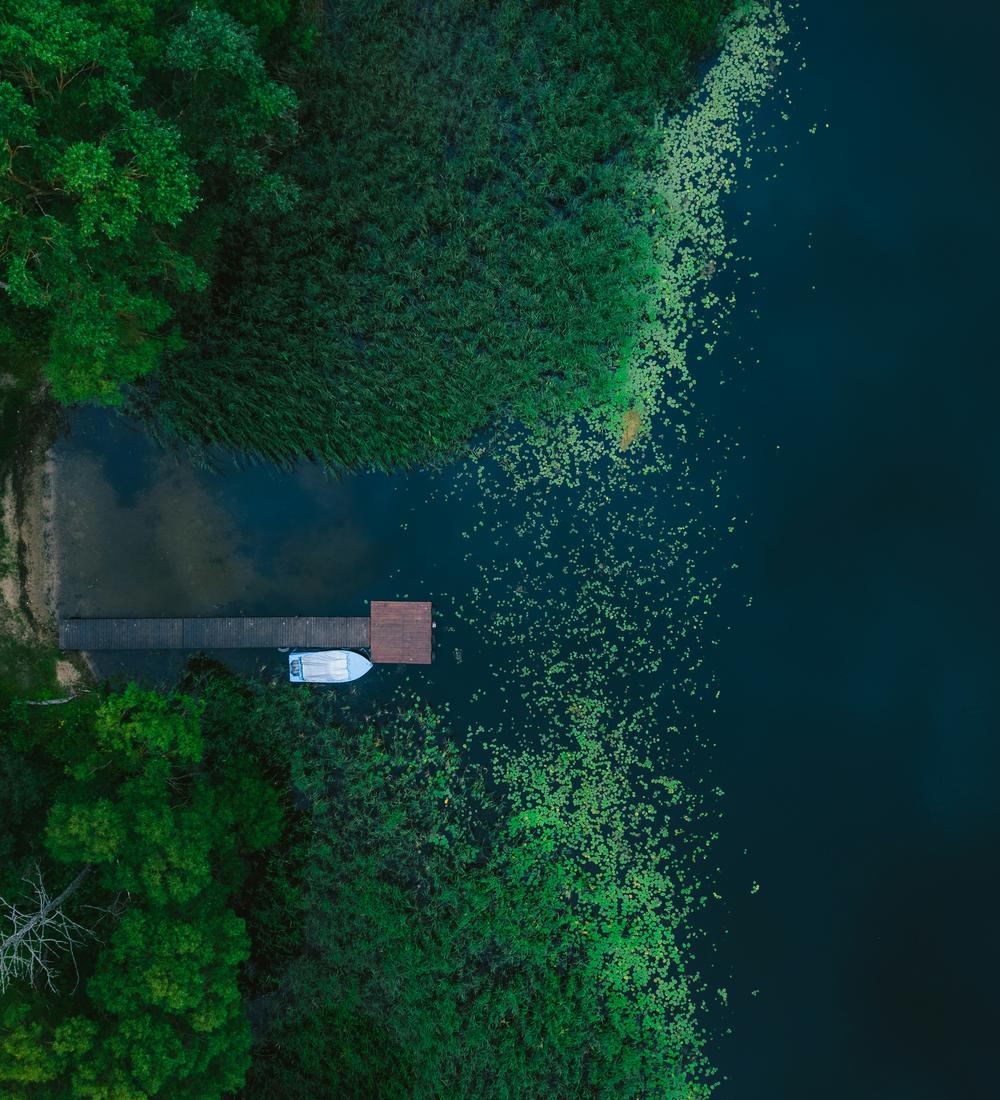 Background for Let God’s blessing overtake you!