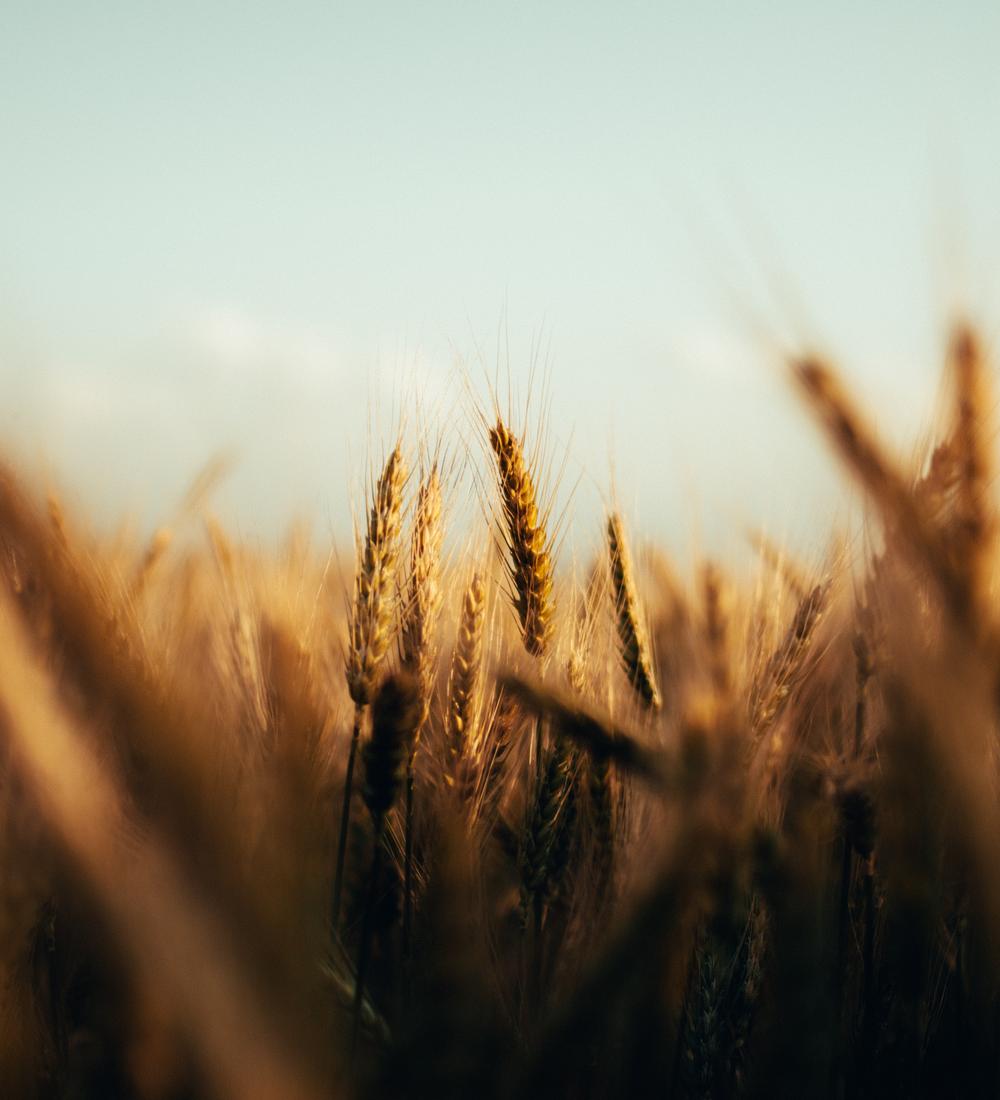 Background for Today, be sensitive to the voice of the Lord