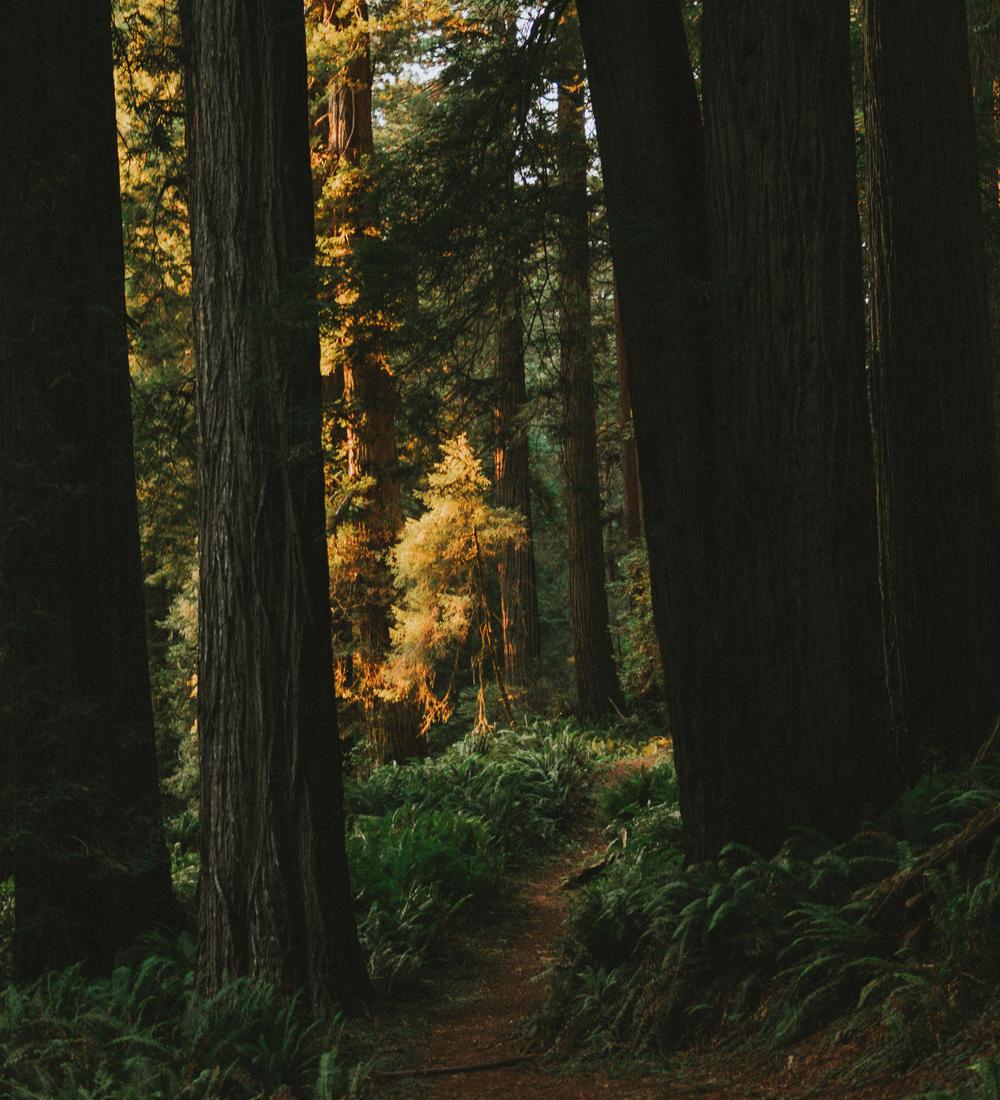 Background for Receive God’s deep, inward peace