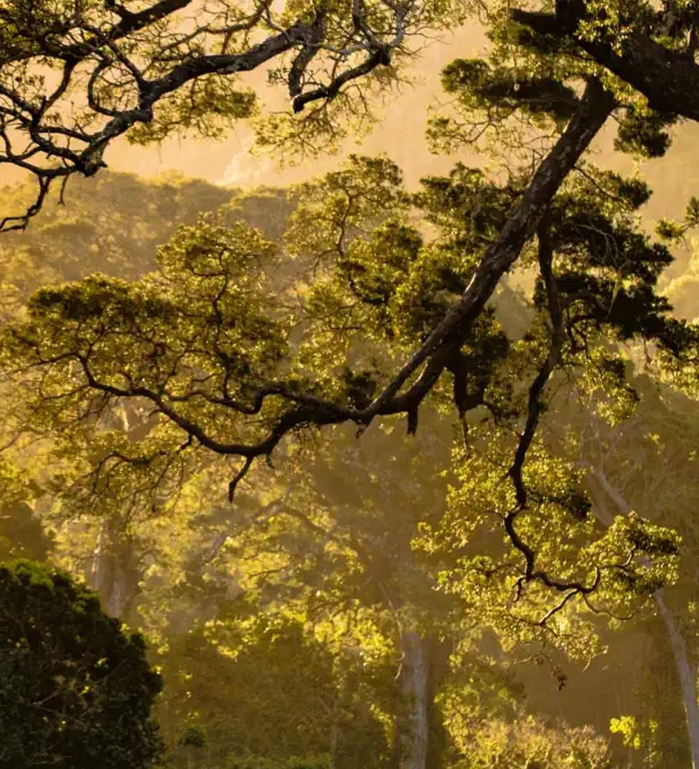 Background for Living out of God's abundance