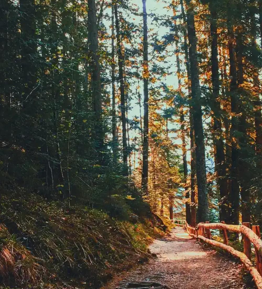 Background for Saviour