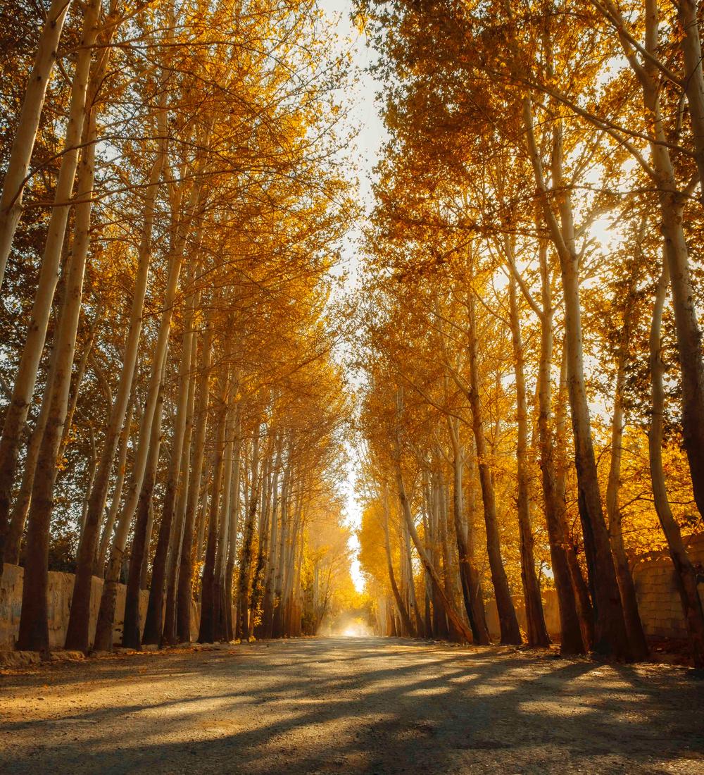 Background for The Messiah, Filled, Led And Empowered By The Holy Spirit